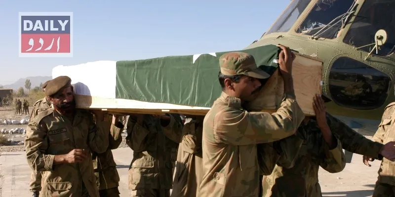 دہشتگردی