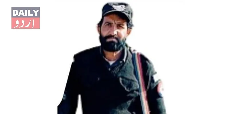 دہشتگردی