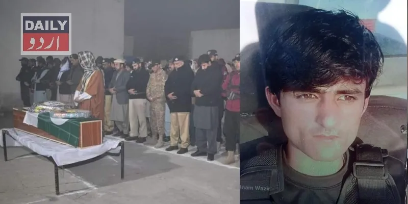 دہشتگردی