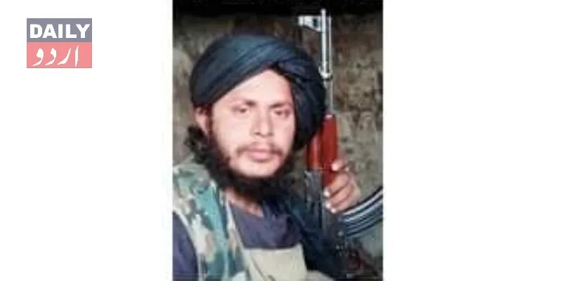 دہشتگردی