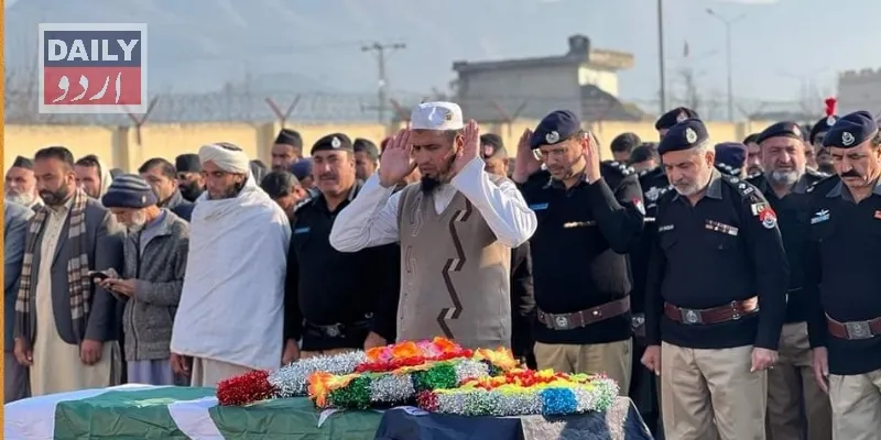 دہشتگردی