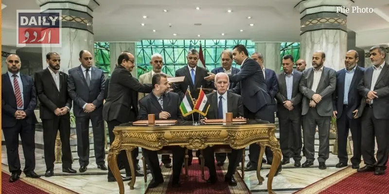 سیاست