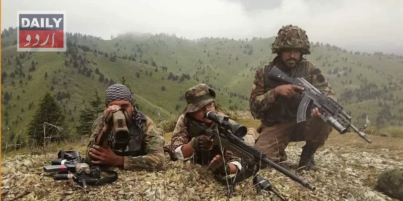 دہشتگردی