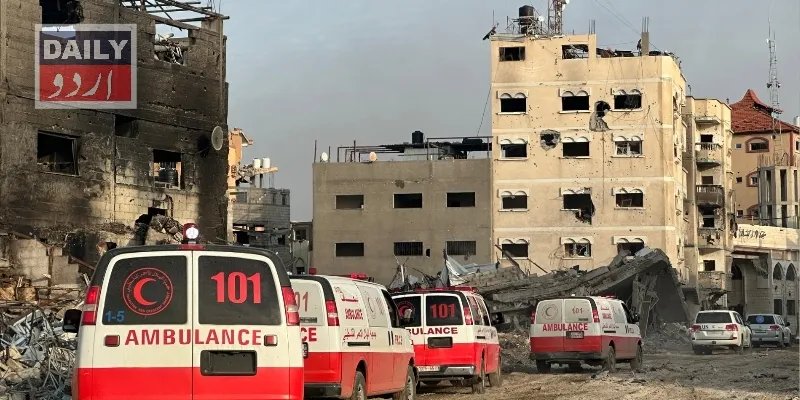 کرائمز