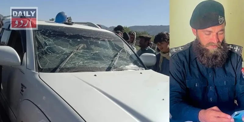 دہشتگردی