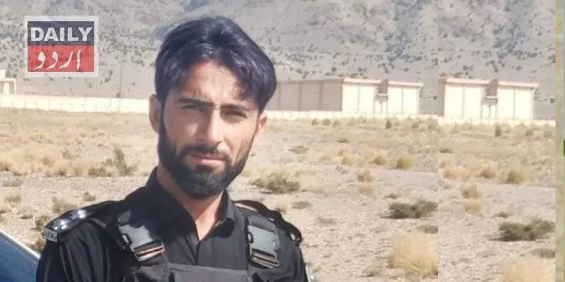 دہشتگردی