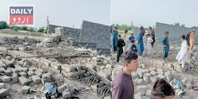 دہشتگردی