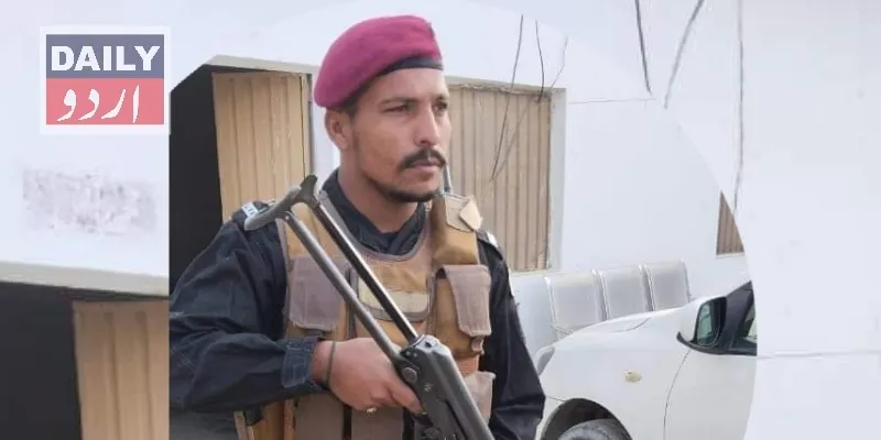 دہشتگردی