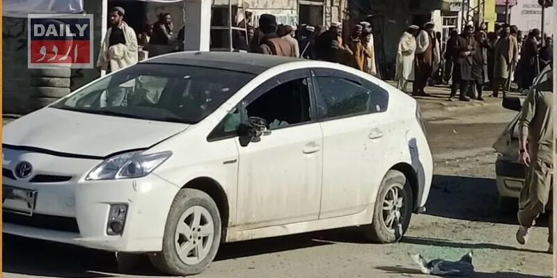 دہشتگردی