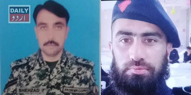 دہشتگردی