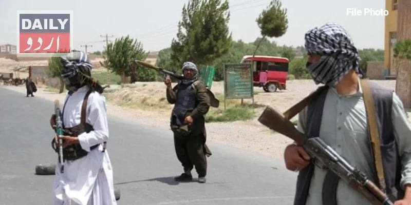 دہشتگردی