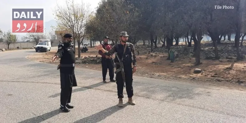 دہشتگردی