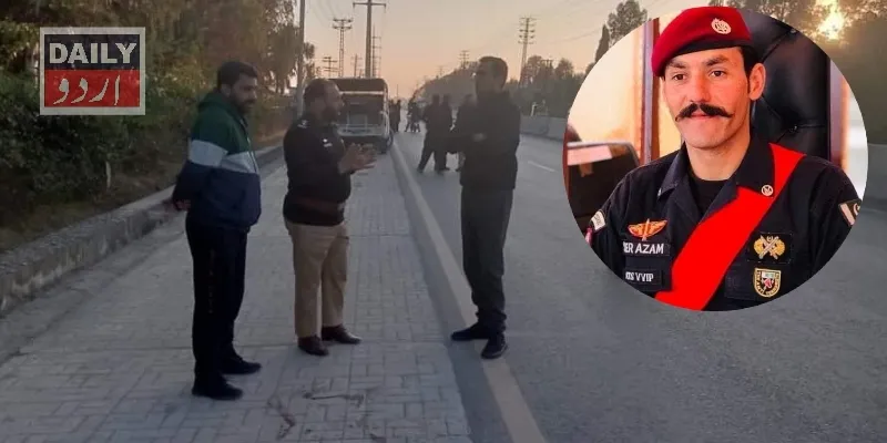 دہشتگردی