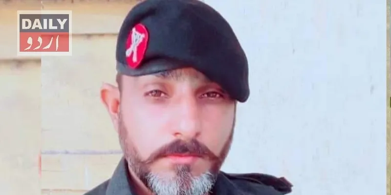 دہشتگردی