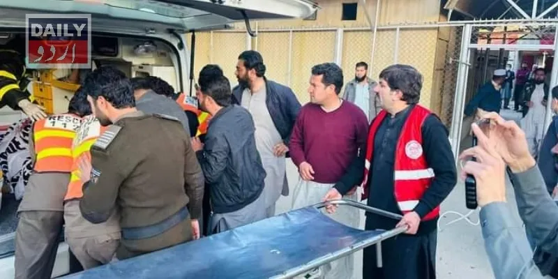 دہشتگردی