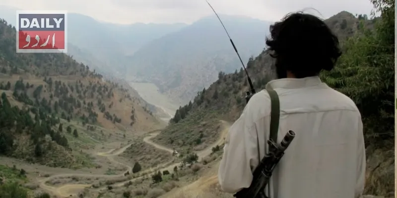 دہشتگردی