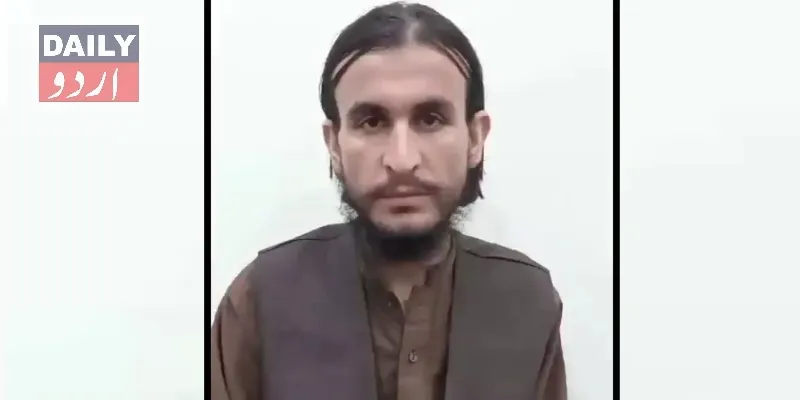 دہشتگردی