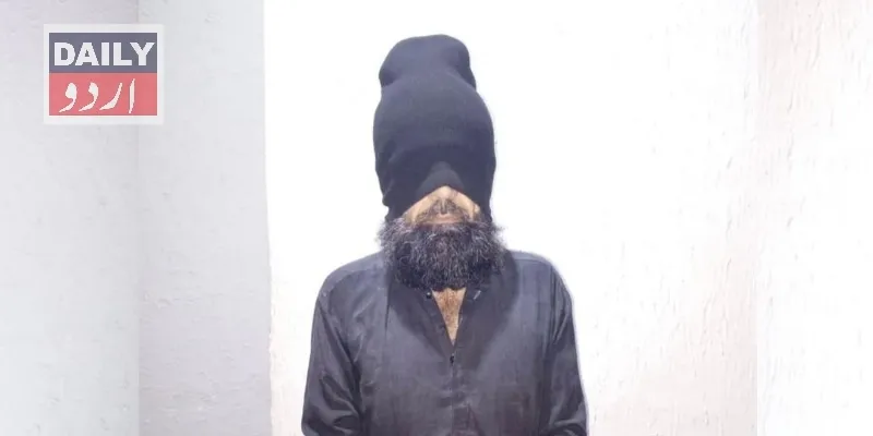 دہشتگردی
