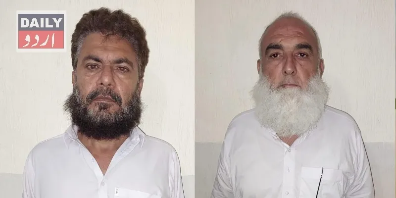 دہشتگردی