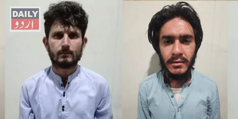 دہشتگردی