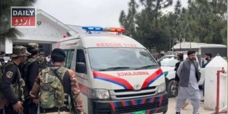 دہشتگردی