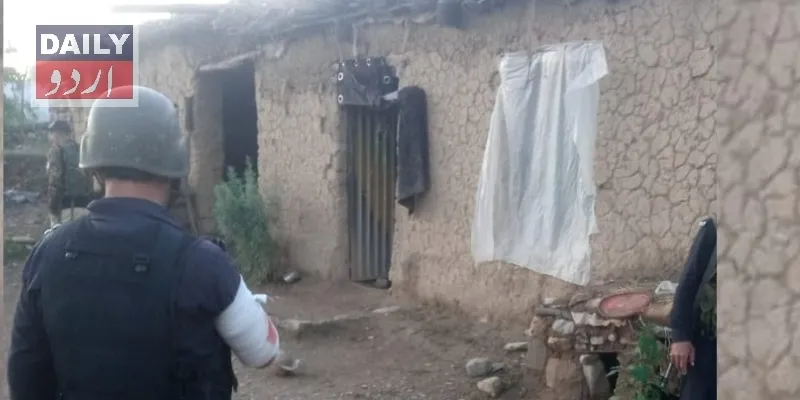 دہشتگردی