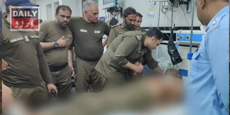 دہشتگردی