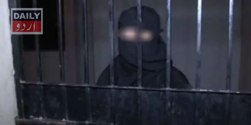 کورٹس