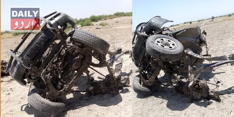 دہشتگردی