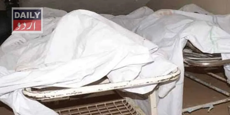 دہشتگردی