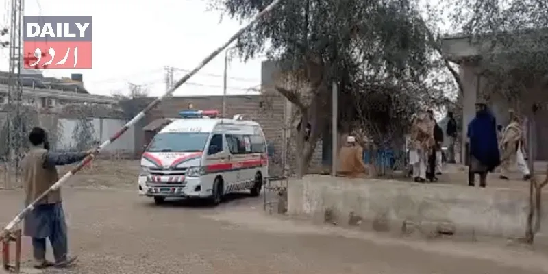 دہشتگردی
