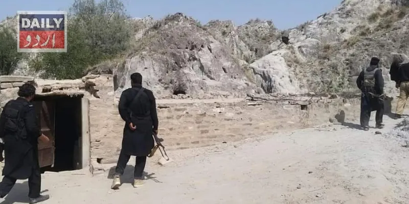 دہشتگردی