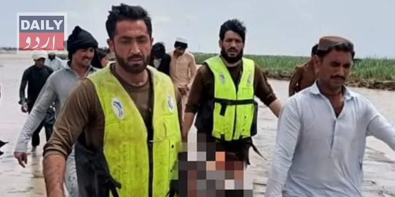 دہشتگردی
