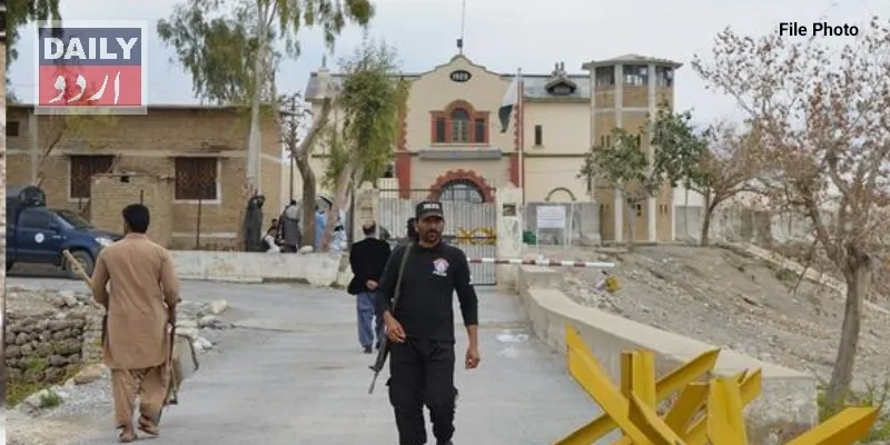 دہشتگردی