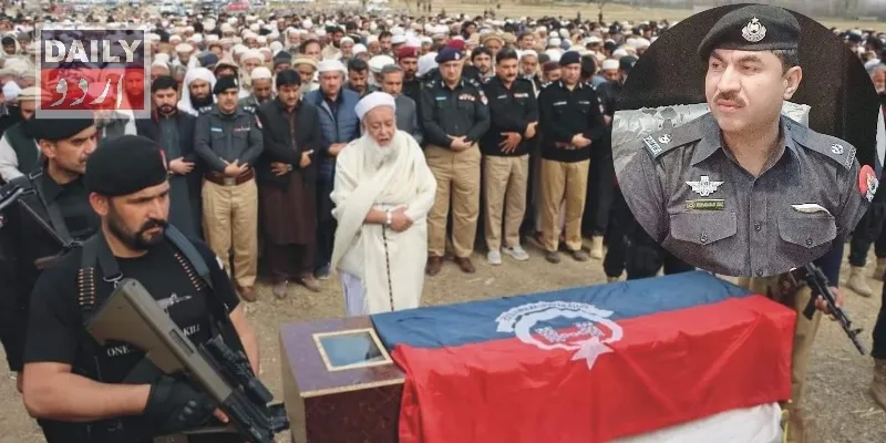 دہشتگردی