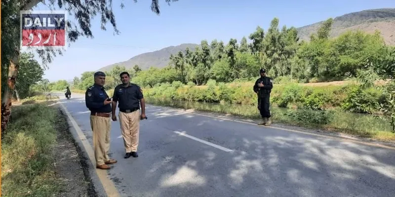 دہشتگردی
