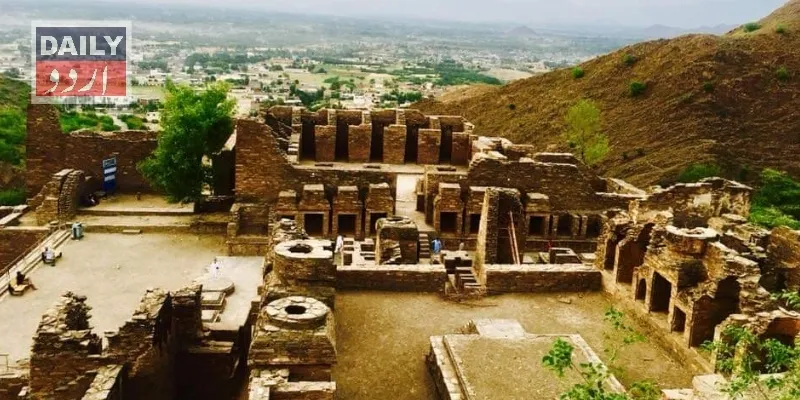 دہشتگردی