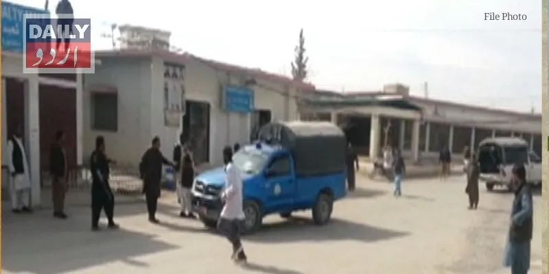 دہشتگردی