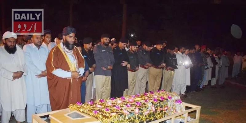 دہشتگردی