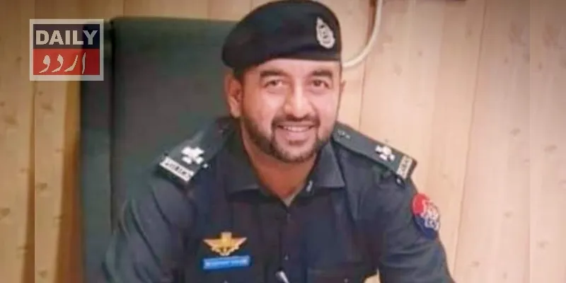دہشتگردی