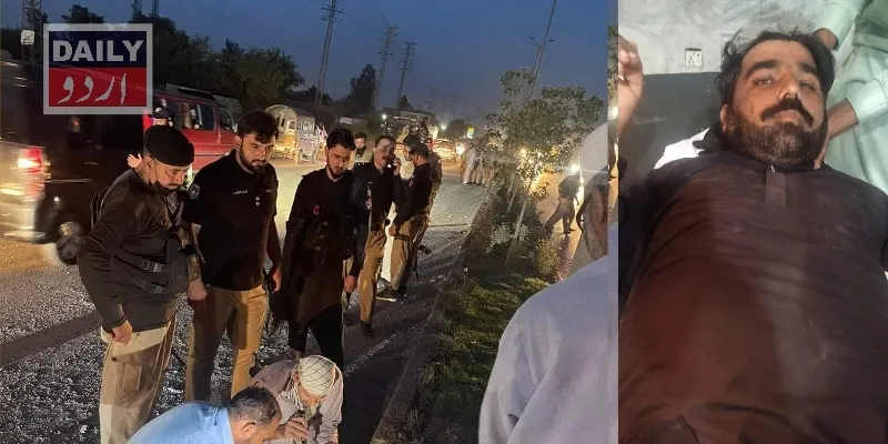 دہشتگردی