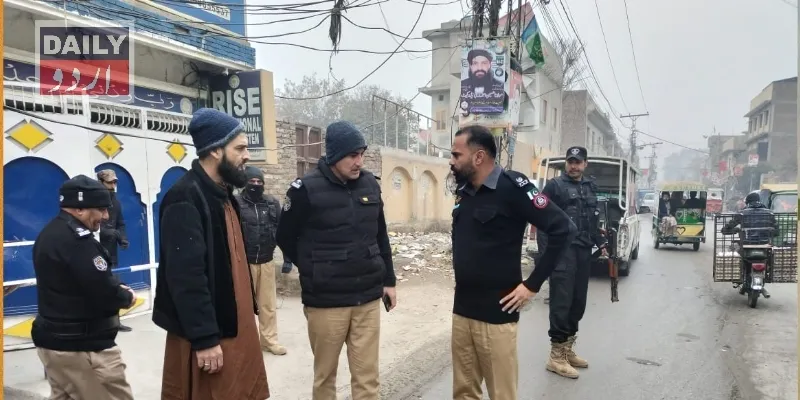 دہشتگردی