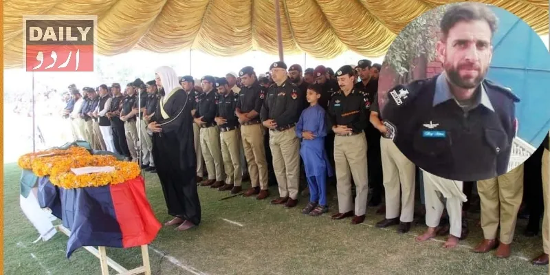 دہشتگردی
