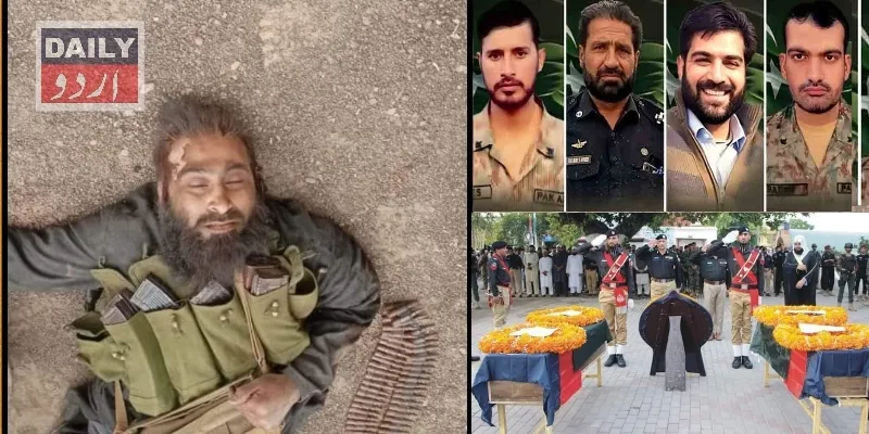 دہشتگردی