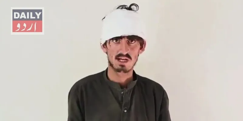دہشتگردی