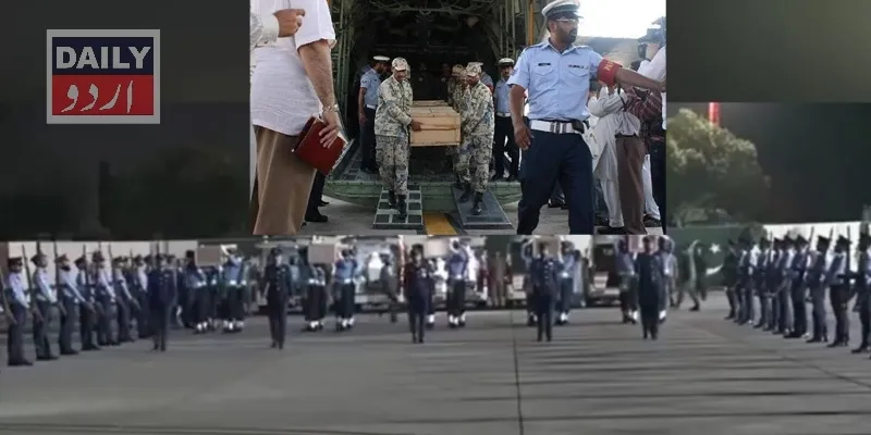 دہشتگردی
