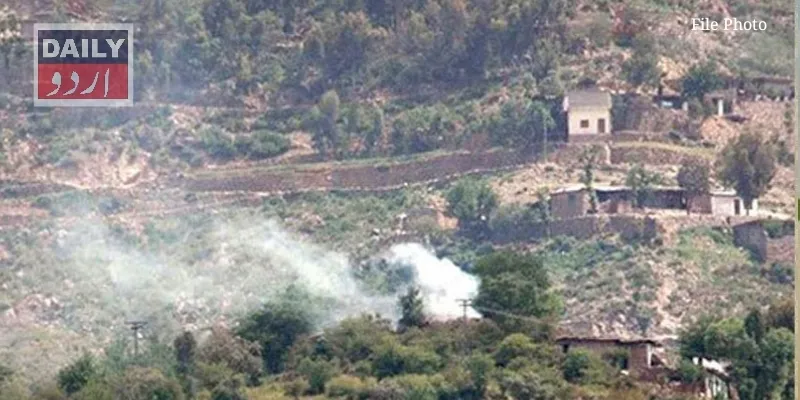 دہشتگردی