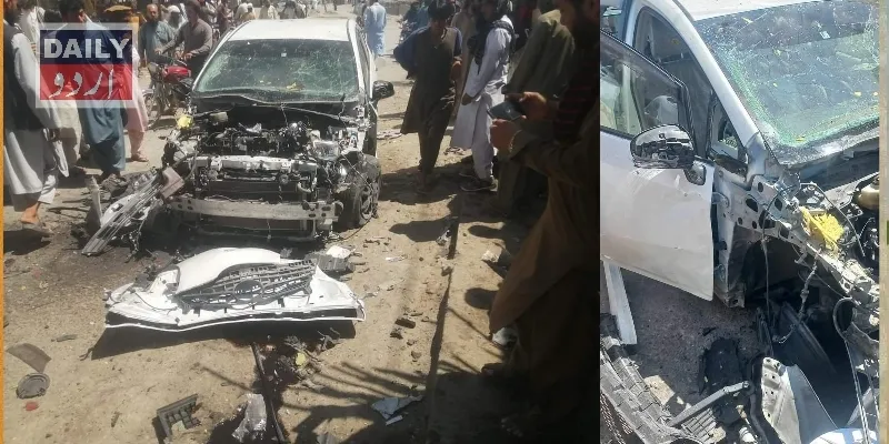 دہشتگردی