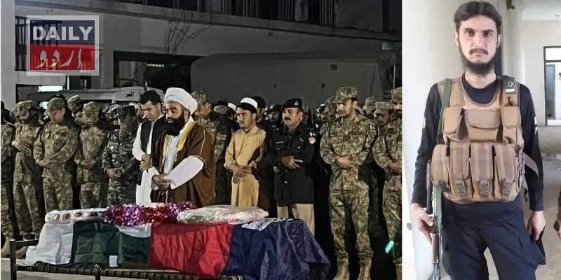 دہشتگردی