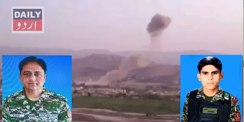 دہشتگردی